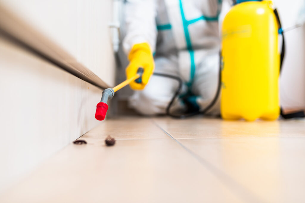 Dayton Cockroach Experts