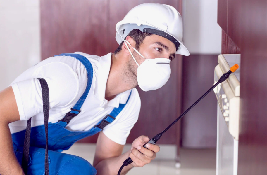 Dayton local pest services