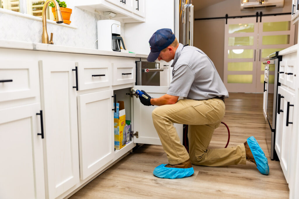 Dayton xpert pest management